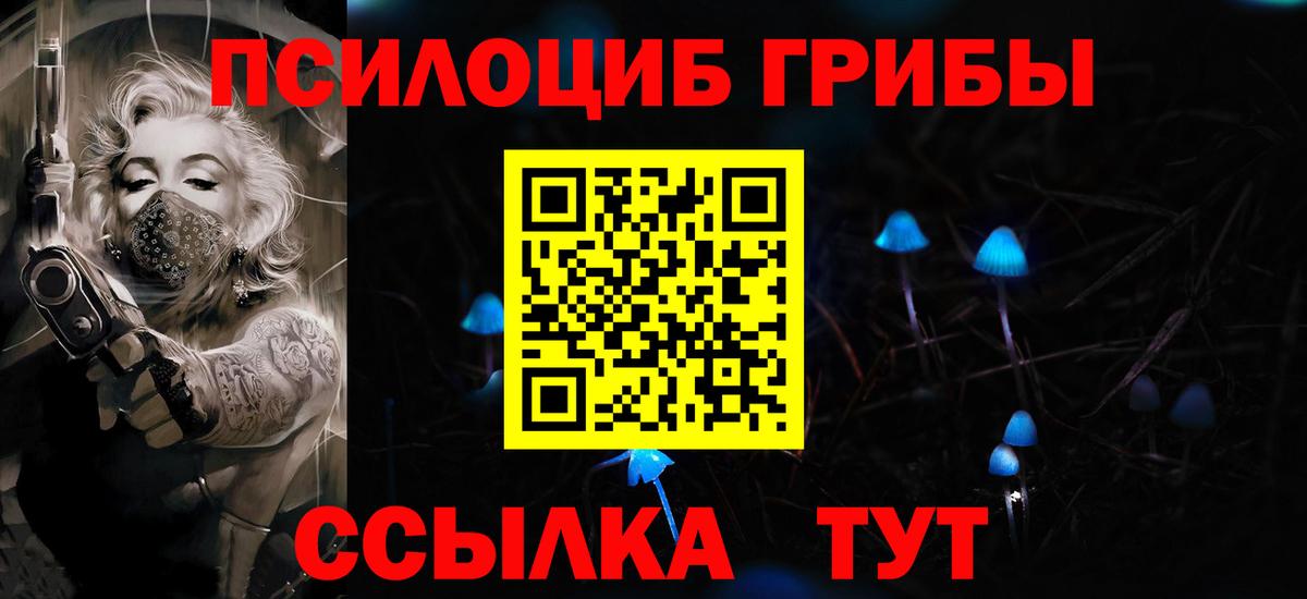 Галлюциногенные грибы Psilocybe  Вход с VPN  Нижневартовск 